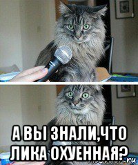  а вы знали,что лика охуенная?