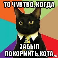 то чувтво, когда забыл покормить кота