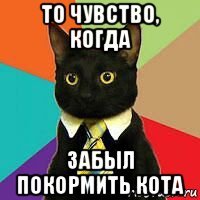 то чувство, когда забыл покормить кота