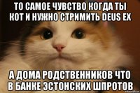то самое чувство когда ты кот и нужно стримить deus ex а дома родственников что в банке эстонских шпротов