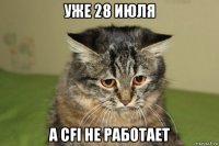 уже 28 июля а cfi не работает