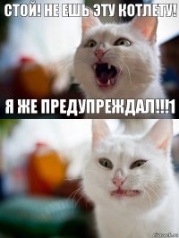 стой! НЕ ЕШЬ ЭТУ КОТЛЕТУ! Я ЖЕ ПРЕДУПРЕЖДАЛ!!!1