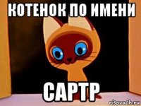 котенок по имени сартр