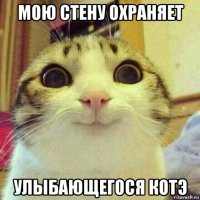 мою стену охраняет улыбающегося котэ