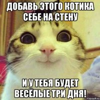 добавь этого котика себе на стену и у тебя будет весёлые три дня!