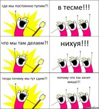 где мы постоянно тупим?! в тесме!!! что мы там делаем?! нихуя!!! тогда почему мы тут сдим?! потому что так хочет миша!!!