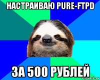 настраиваю pure-ftpd за 500 рублей