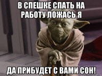 в спешке спать на работу ложась я да прибудет с вами сон!