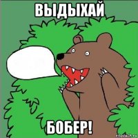 выдыхай бобер!