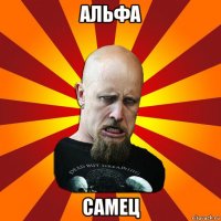 альфа самец