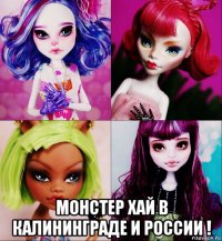  монстер хай в калининграде и россии !