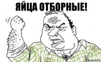 ЯЙЦА отборные!