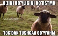 o'zini qo'yligini ko'rstma tog'dan tushgan qo'yfahm