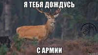 я тебя дождусь с армии