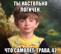 ты настолько логичен, что самолет, трава, 42