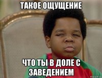 такое ощущение что ты в доле с заведением
