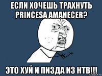 если хочешь трахнуть princesa amanecer? это хуй и пизда из нтв!!!