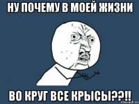 ну почему в моей жизни во круг все крысы??!!