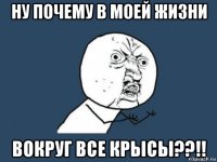 ну почему в моей жизни вокруг все крысы??!!