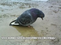 что с нами стало ну покорми что смотришь!