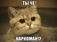 ты че наркоман!?