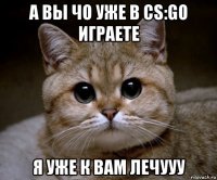 а вы чо уже в cs:go играете я уже к вам лечууу