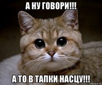 а ну говори!!! а то в тапки насцу!!!