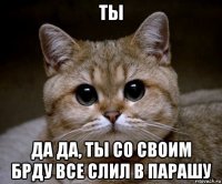 ты да да, ты со своим брду все слил в парашу