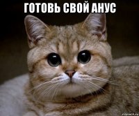 готовь свой анус 