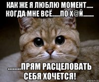 как же я люблю момент..... когда мне всё......по х@й........ ........прям расцеловать себя хочется!