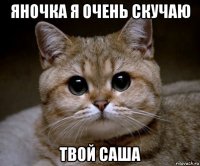 яночка я очень скучаю твой саша