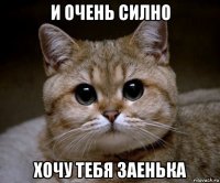 и очень силно хочу тебя заенька