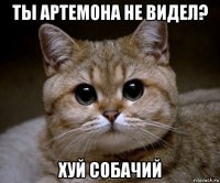 ты артемона не видел? хуй собачий