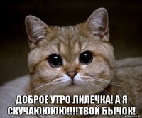  доброе утро лилечка! а я скучаюююю!!!!твой бычок!