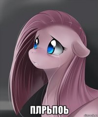  плрьпоь