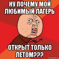 ну почему мой любимый лагерь открыт только летом???