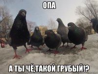 опа а ты чё,такой грубый!?