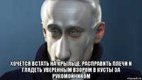  хочется встать на крыльце, расправить плечи и глядеть уверенным взором в кусты за рукомойником