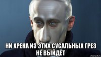  ни хрена из этих сусальных грез не выйдет