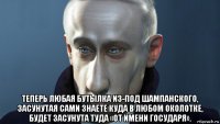  теперь любая бутылка из-под шампанского, засунутая сами знаете куда в любом околотке, будет засунута туда «от имени государя».