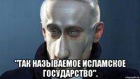  "так называемое исламское государство".