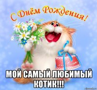  мой самый любимый котик!!!