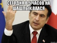 сегодня в 5 часов на шашлык,ваася 