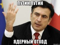путин,путин ядерный отход