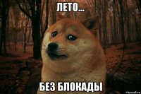 лето... без блокады