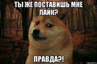 ты же поставишь мне лайк? правда?!