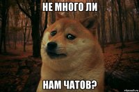 не много ли нам чатов?