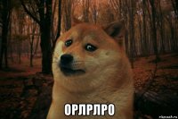  орлрлро