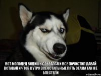 Вот молодец видишь собрался и все почистил давай вставай и чтоб к утру все остальные пять этажа так же блестели