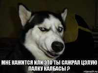 мне кажится или это ты сажрал цэлую палку калбасы ?